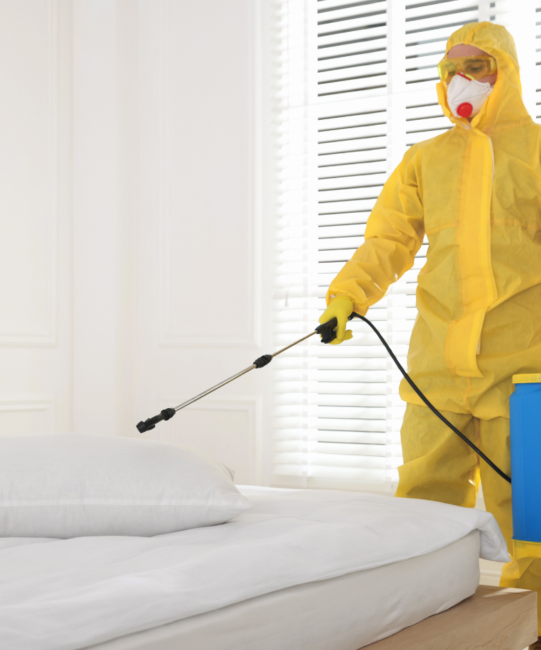 Professional Pest Control Team in Holden Hill